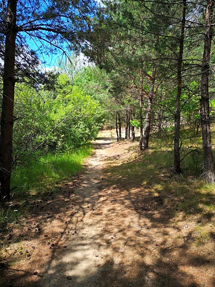 Domki Między Drzewami