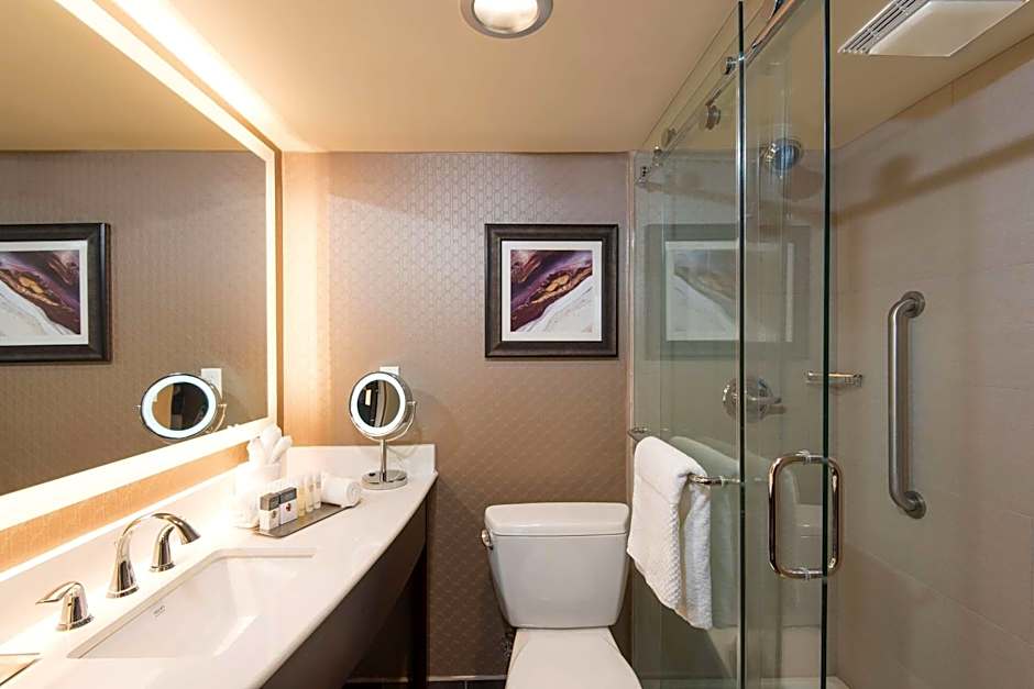 DoubleTree by Hilton Schenectady