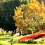 Le Manoir de Bellerive