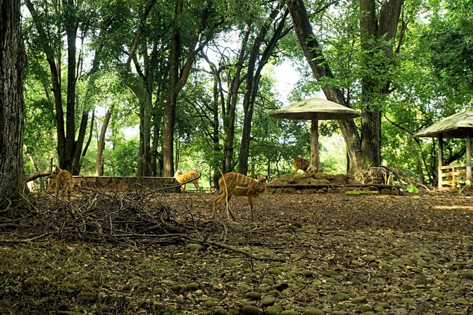 Wisma Minongga By SPAZIE