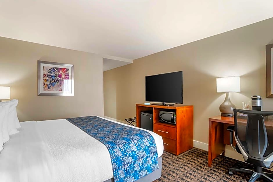 Best Western Plus Greenville I-385 Inn & Suites
