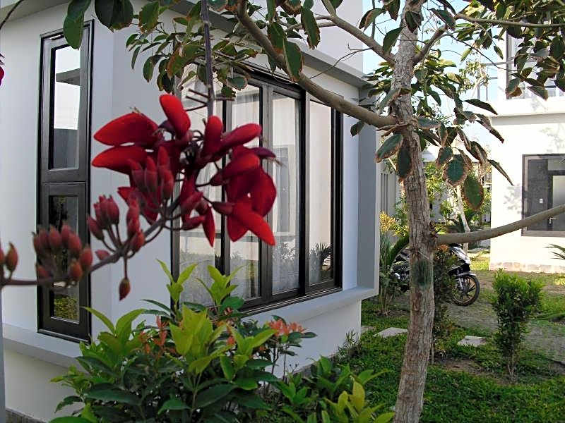 Van Nguyen Minihouse