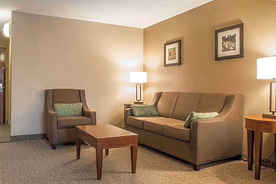 Comfort Inn Edinburg South