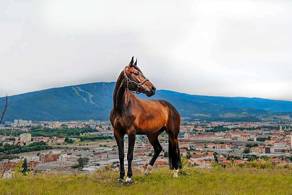 Tourist Farm HOTEL FROST