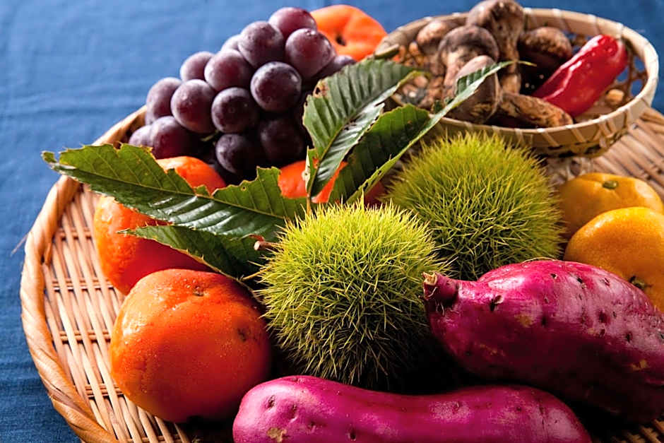 Ryokan Sennari (13 years or older)