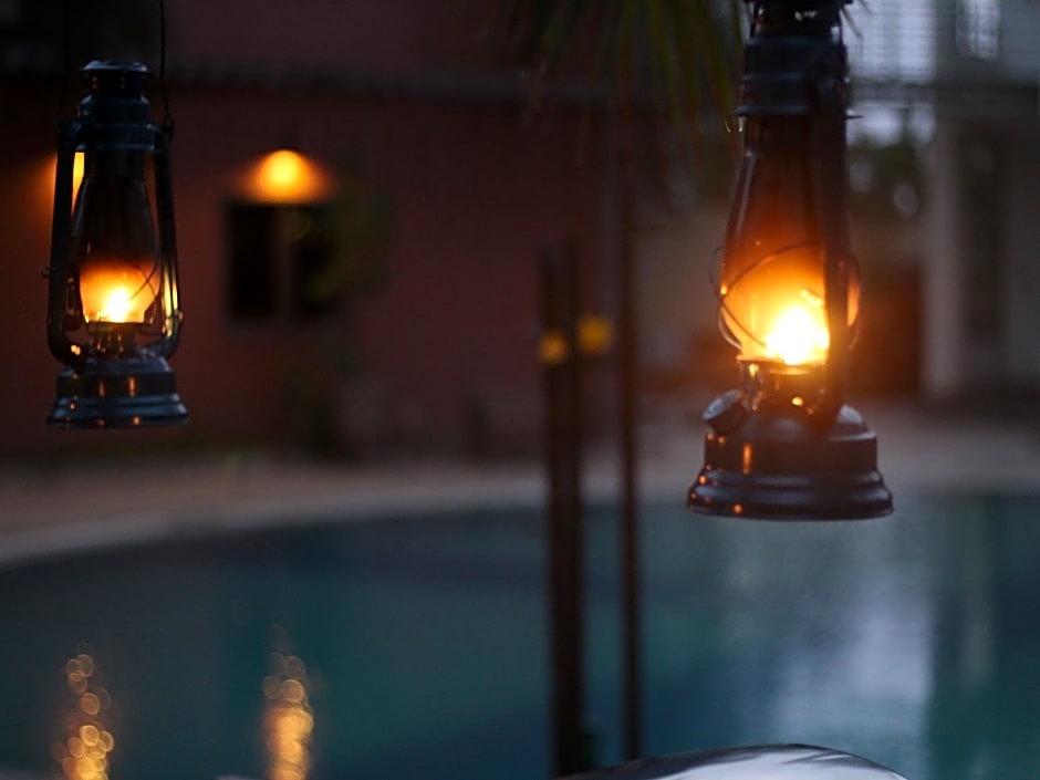 Seven sky Clarks Exotica