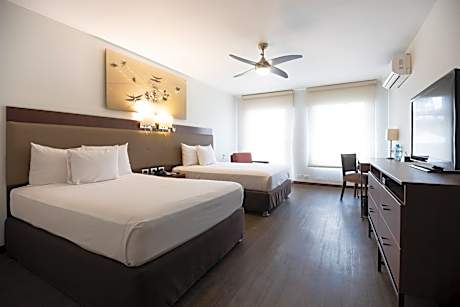 Twin Room with Pool View