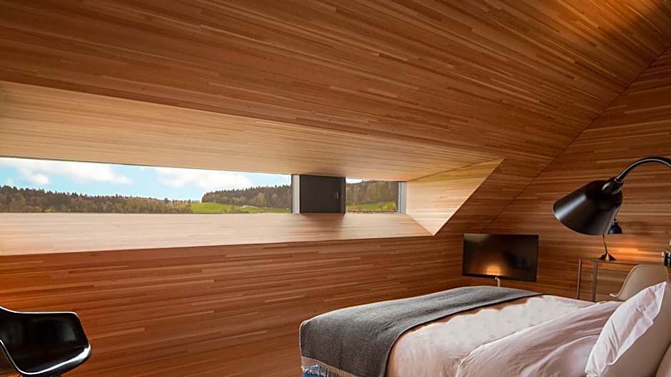 Hotel Krone Regensberg