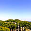 Hotel del Falco