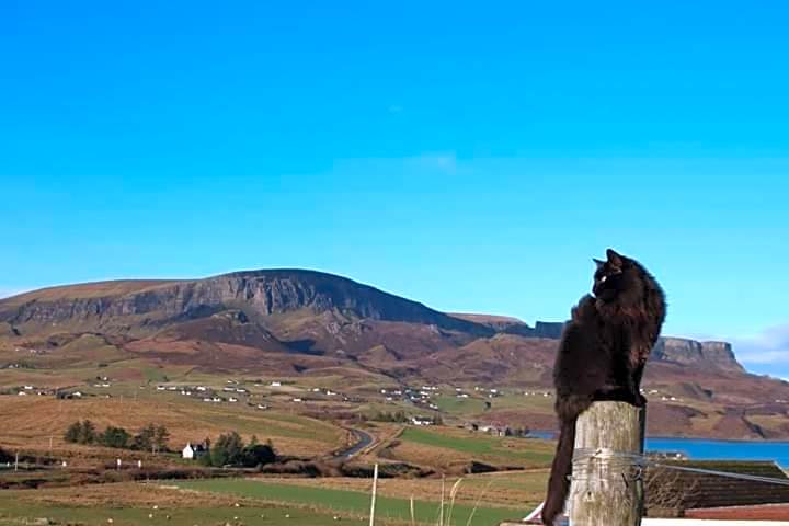 Tigh Quiraing- Heather