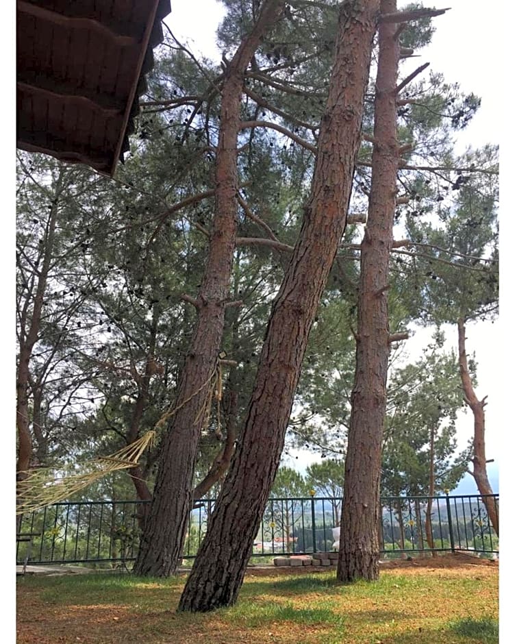 Sarı Konak Butik Otel