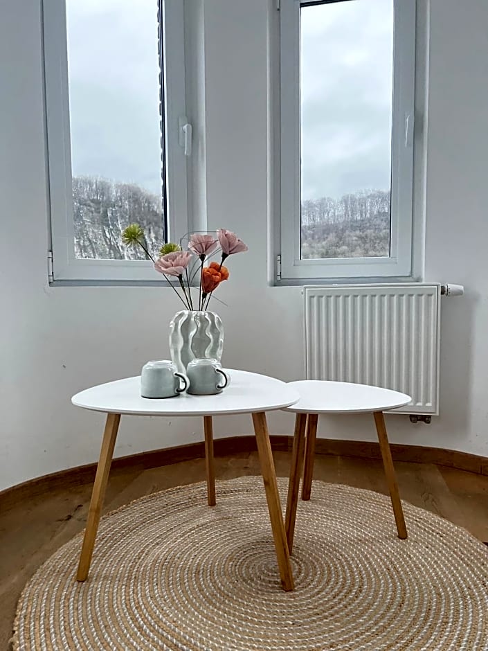 Mes Caprices B&B Villa Mosan Bord de Meuse