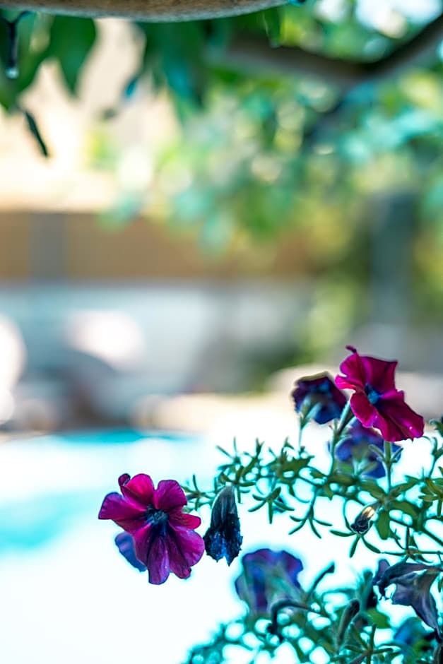 RODI BLUE apartments