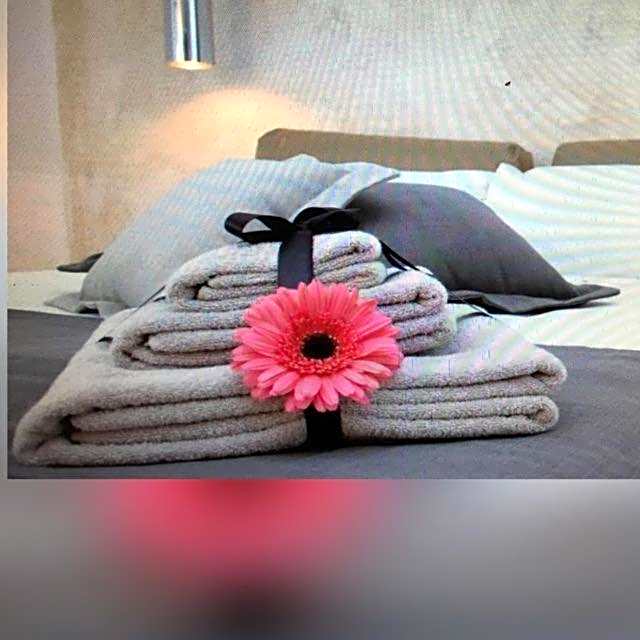 OLYMPUS PARK amnesia