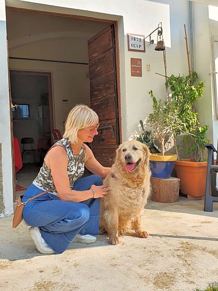 Il Casolare del Medio Olona