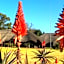 African Flair Country Lodge