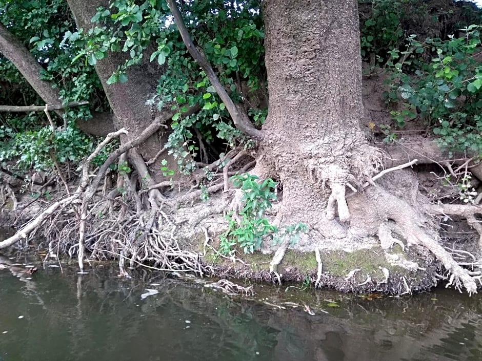 Chambre d'hôtes L'Ermite