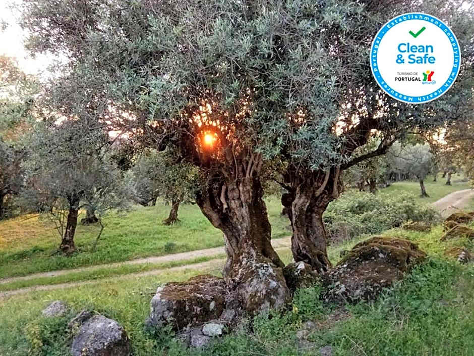 Convento Da Provenca