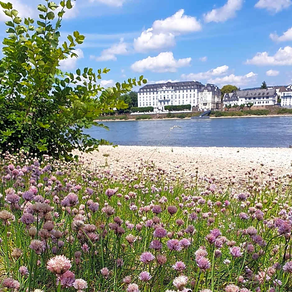Rheinhotel Larus
