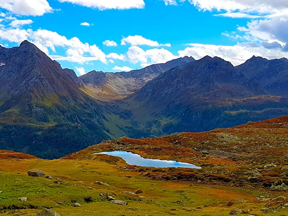 Hotel Des Alpes - Restaurant & Pizzeria