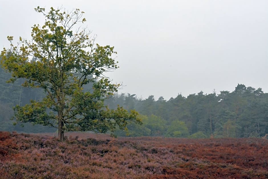 B&B De Loenense Bossen