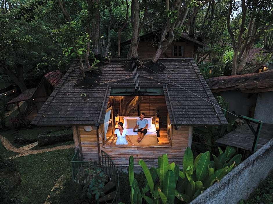 Roots Tree House