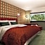 The Home Hotel Zürich - a member of DESIGN HOTELS