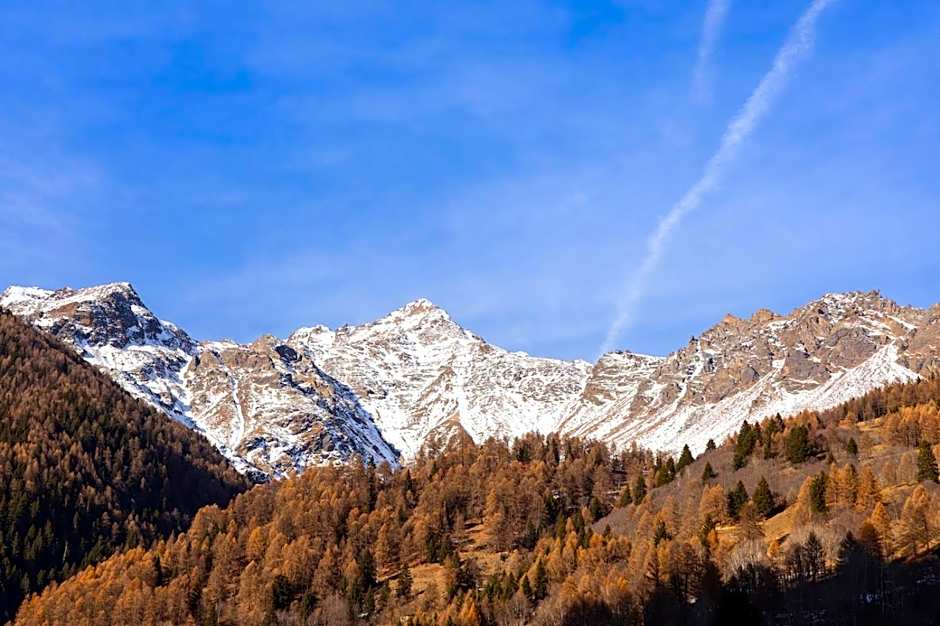 Hotel Alpino Wellness & Spa