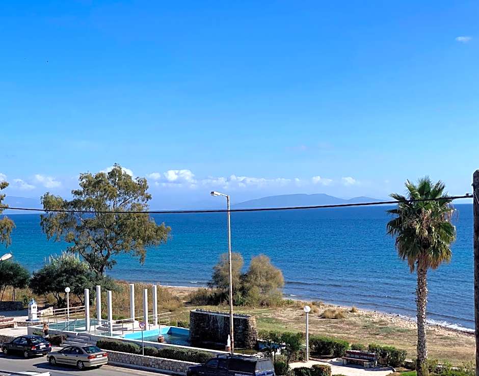 Starfish Seaside Studio