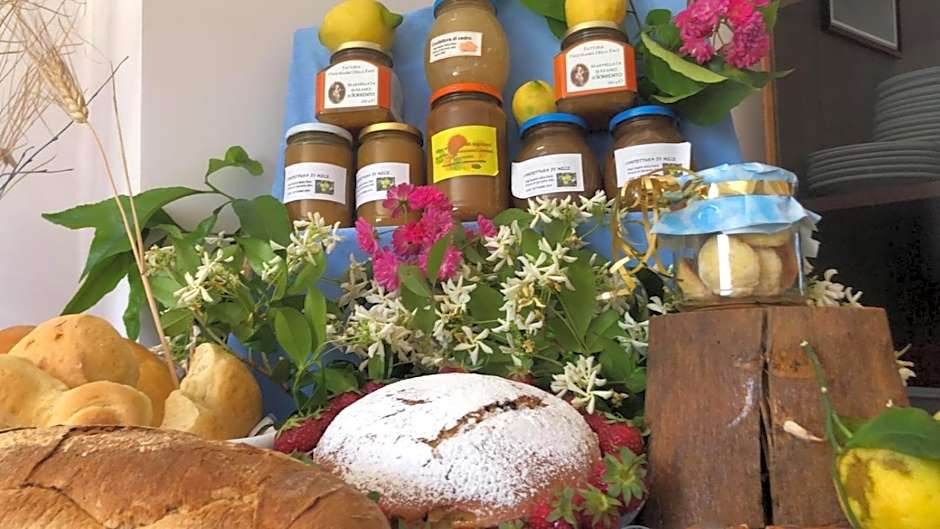 Oasi Madre della Pace