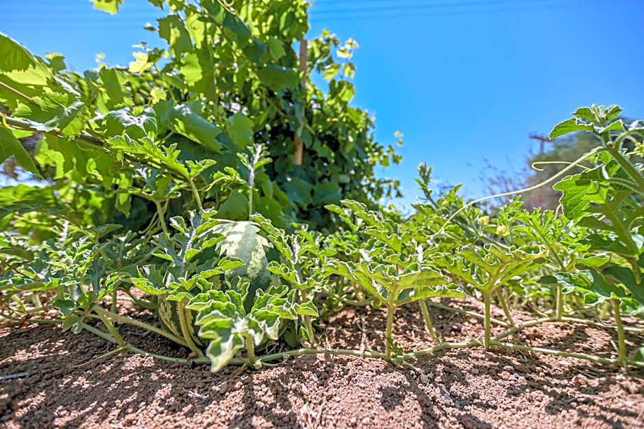 Naxian Garden of Senses