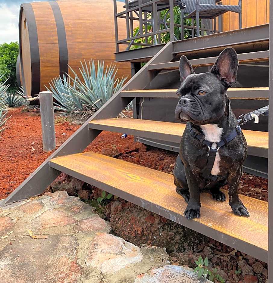 Matices Hotel de Barricas