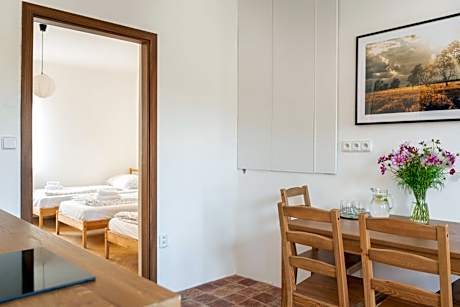 Apartment with Terrace