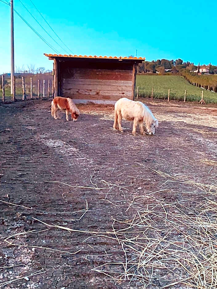 Bagno Santo Residence