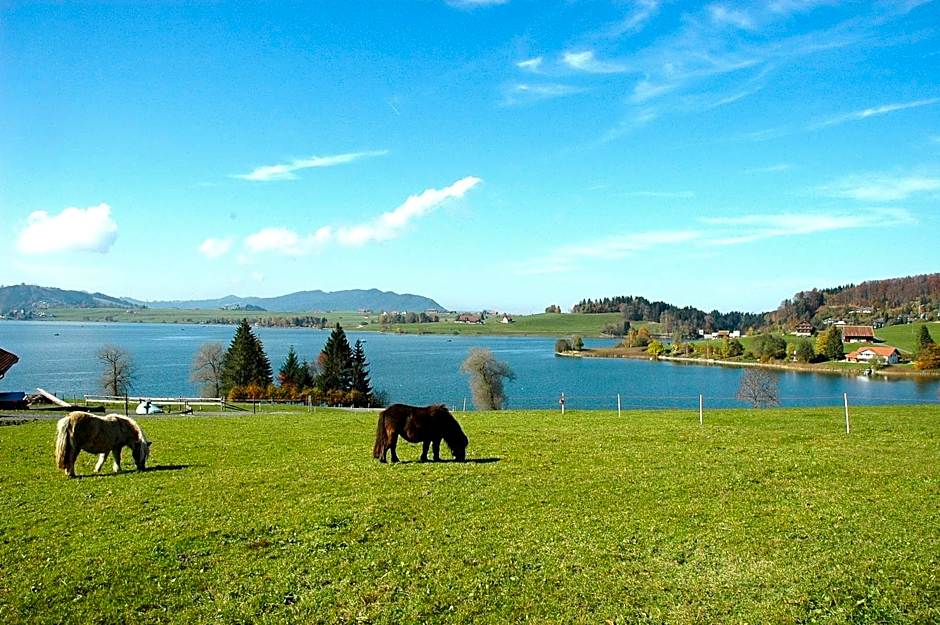 B&B Ferienhof am See