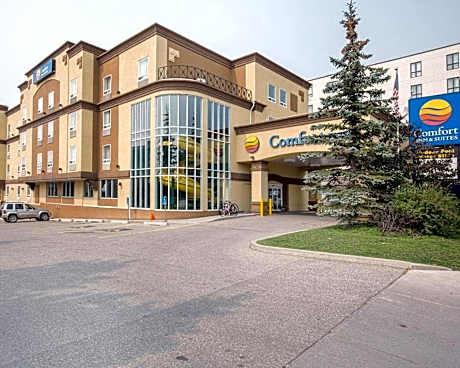Comfort Inn & Suites University