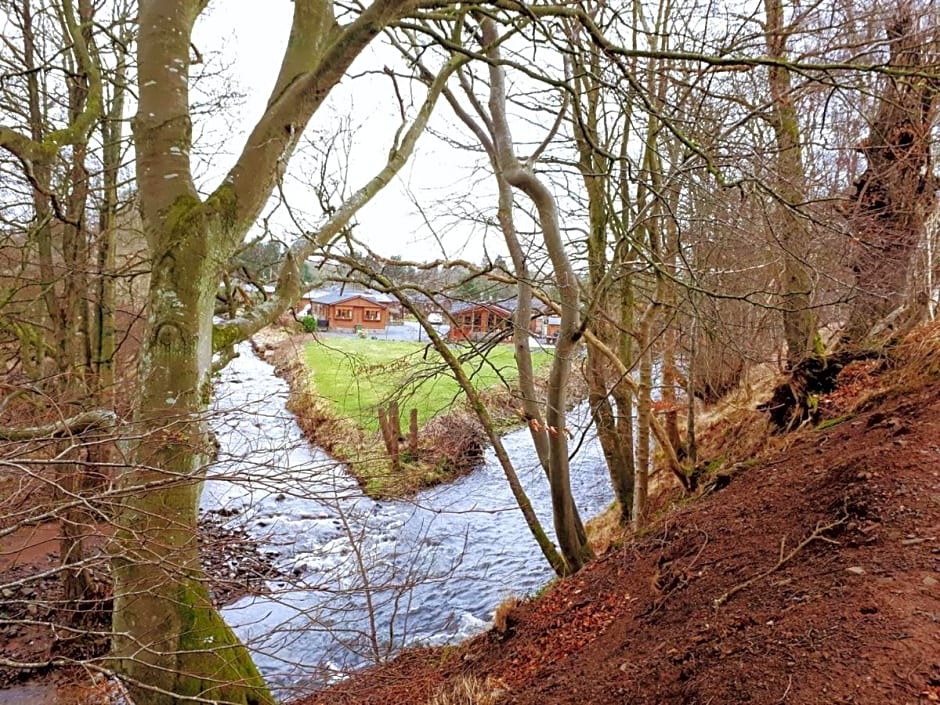 Grandeagles Extra large lodge