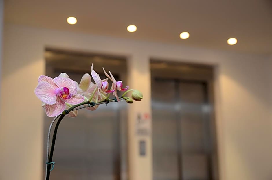 Grand Crucero Hotel