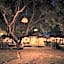Addo African Home