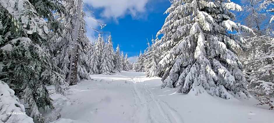 Ośrodek Wypoczynkowy Radosno