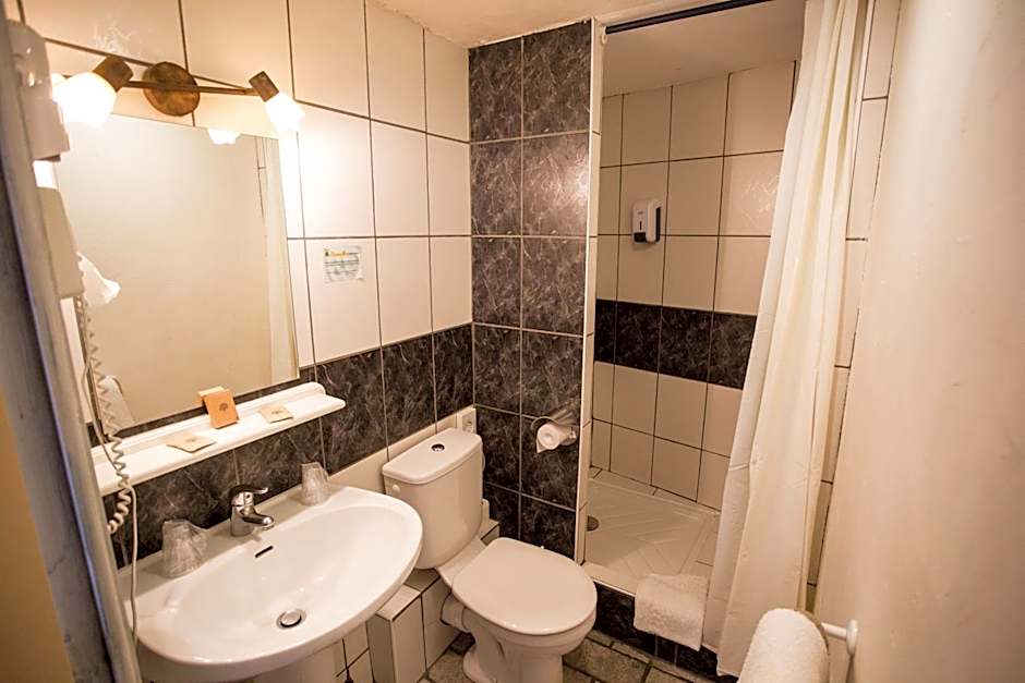 L'Hôtel du Terreau Logis de France