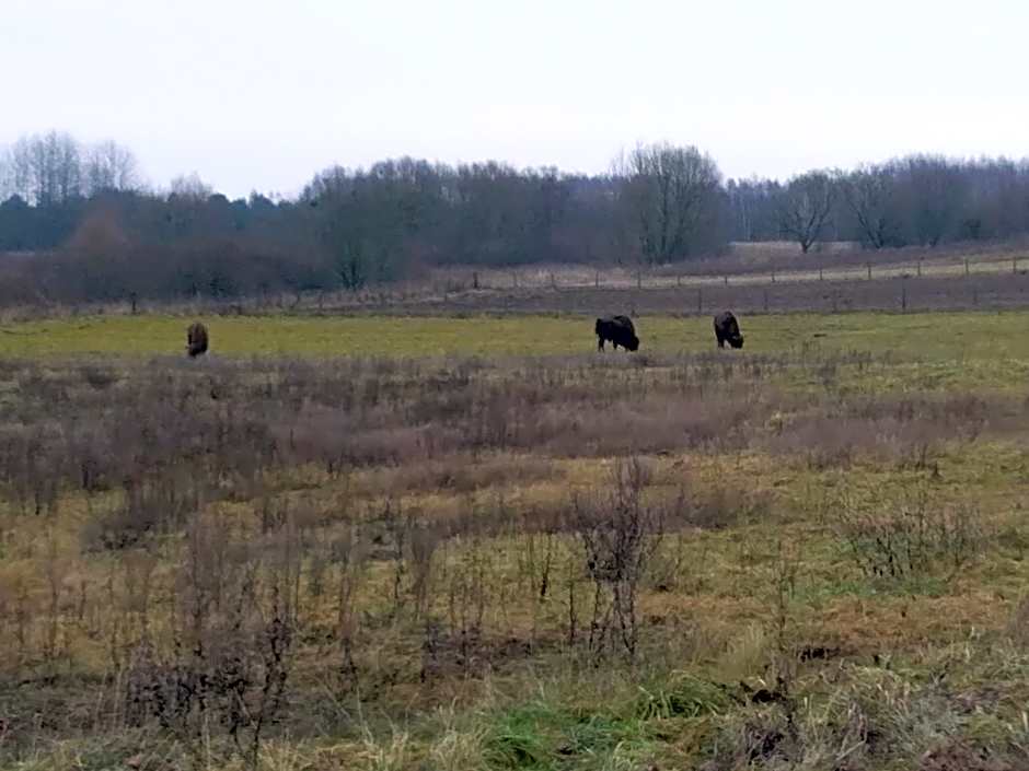Uroczysko Ludwinowo na Podlasiu