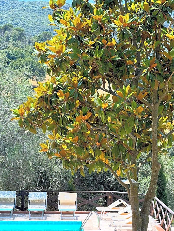 Madonna del Poggio B&B