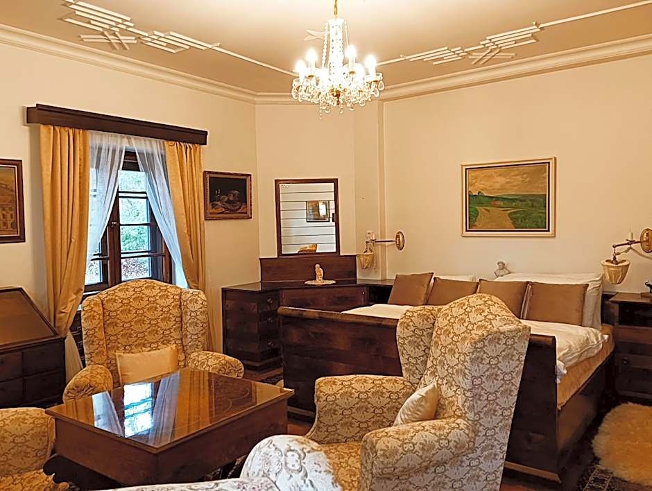 Boutique hotel & Wellness Spitzerova vila Eliška