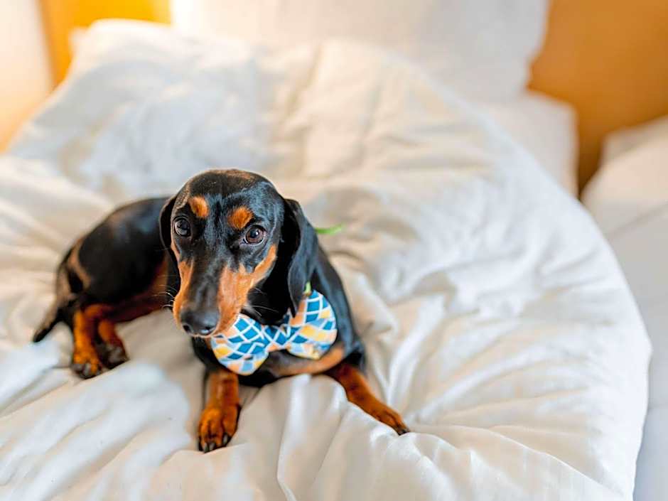 Ibis Nuernberg Hauptbahnhof