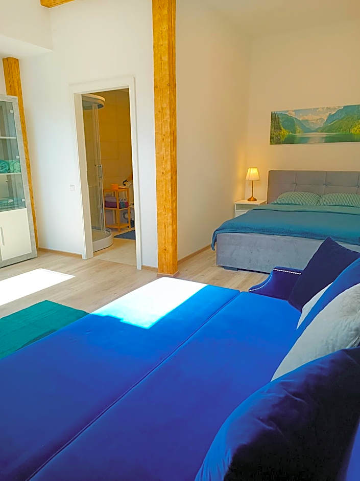 Apartments Romantic and Family Room Zemlinski