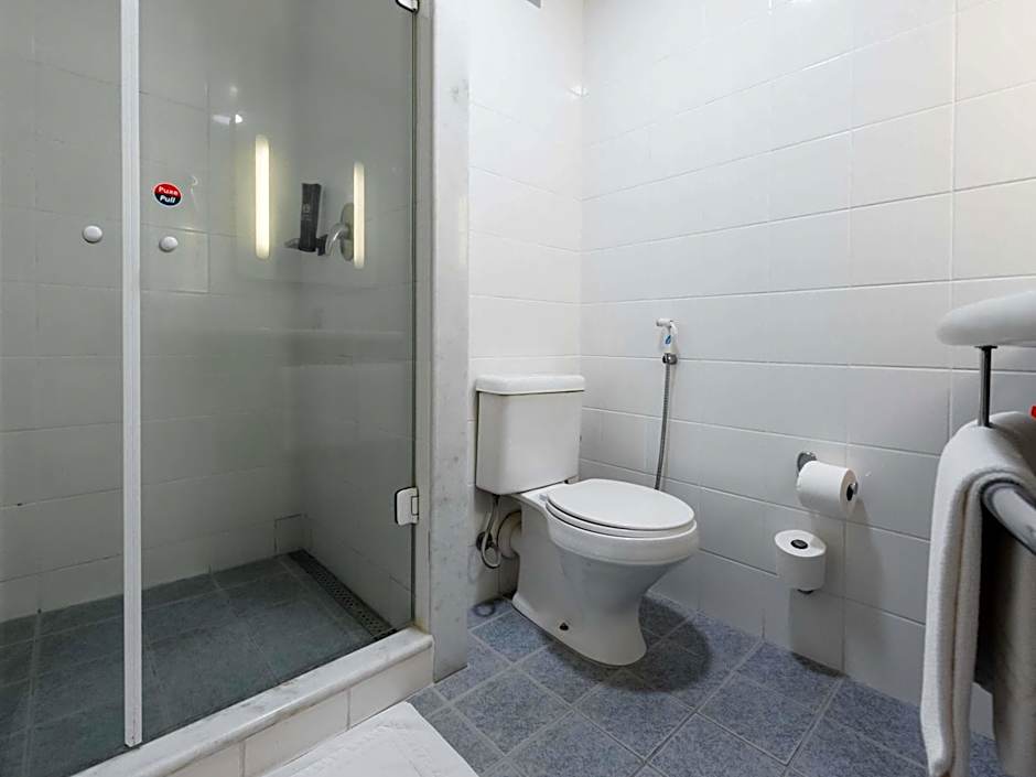 Ibis Joinville