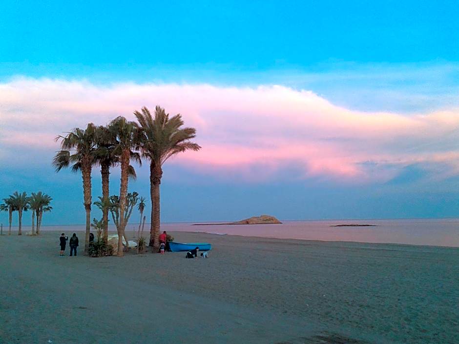 Trendy Homes Puerta Purchena