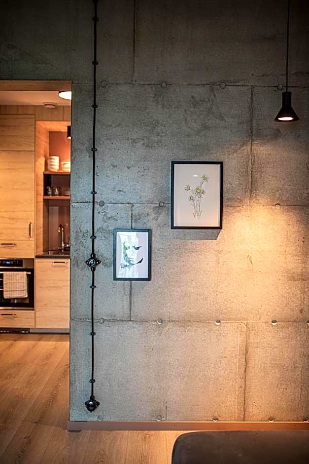 Home Again Apartments Kirkegata