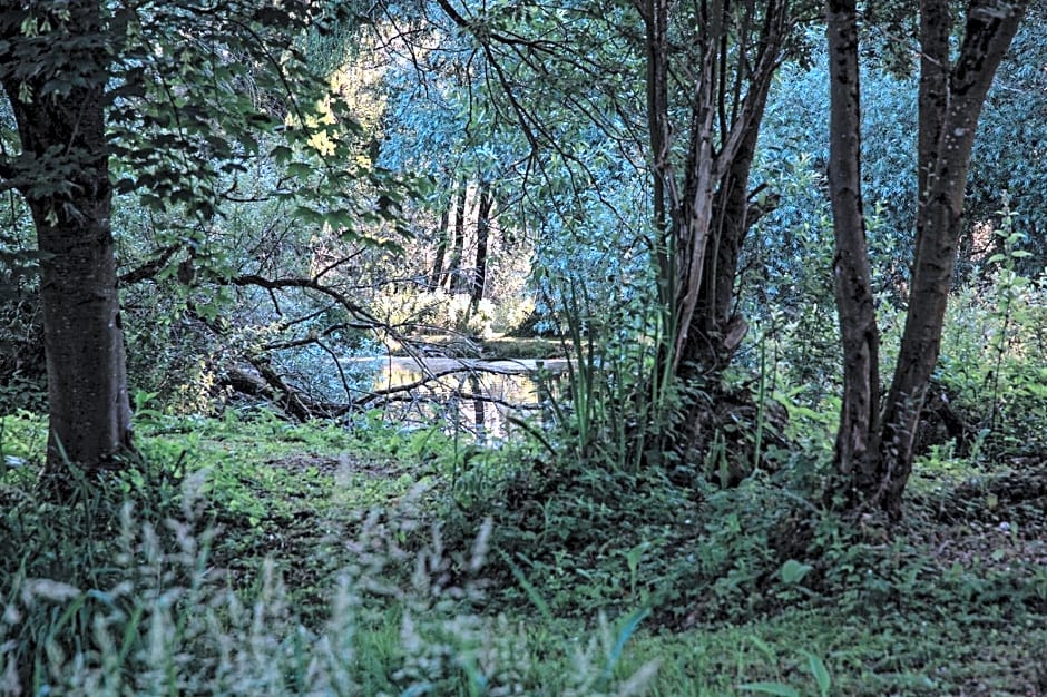 Les Cabanes Des Marais